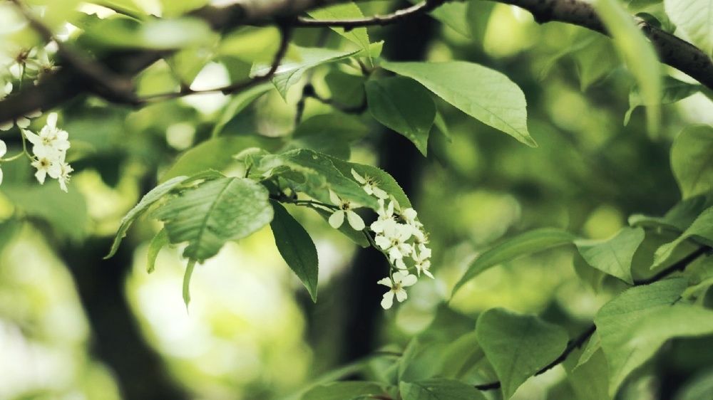 Photograph by Алёна Бондаренко