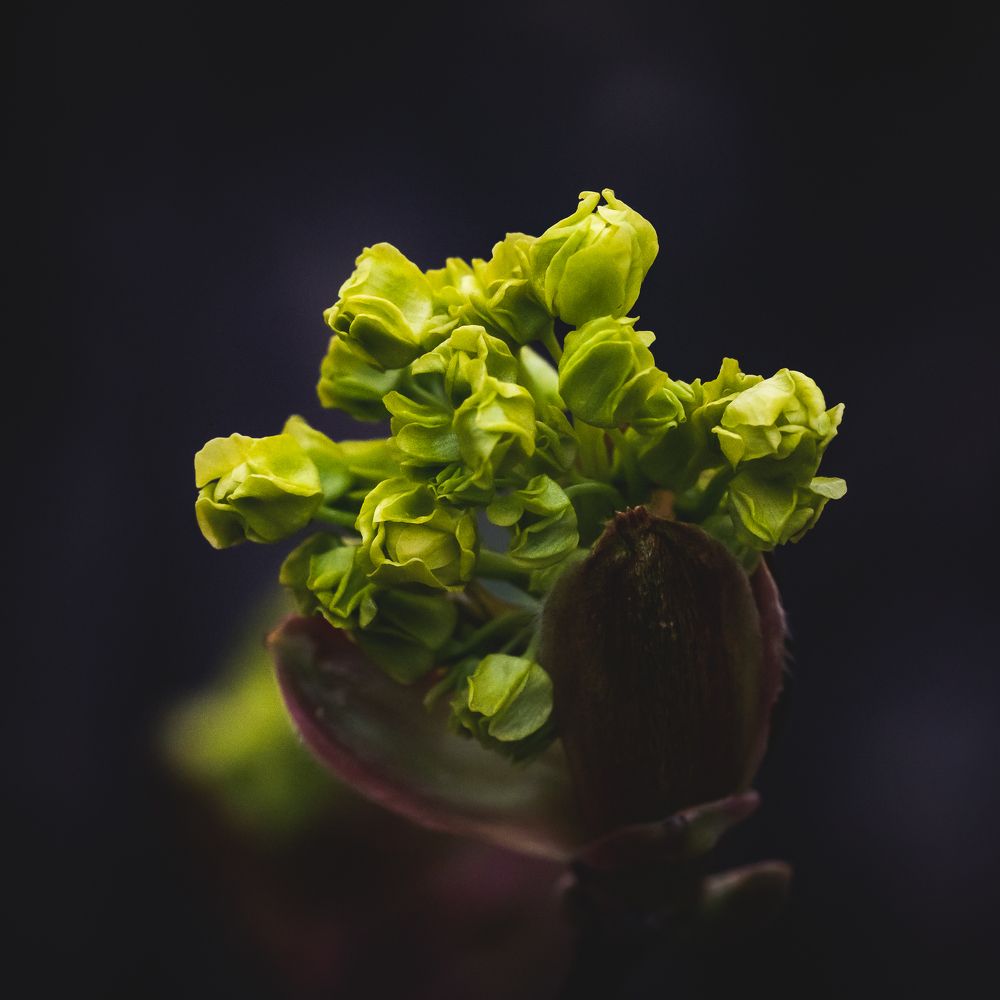 Photograph by Sergey