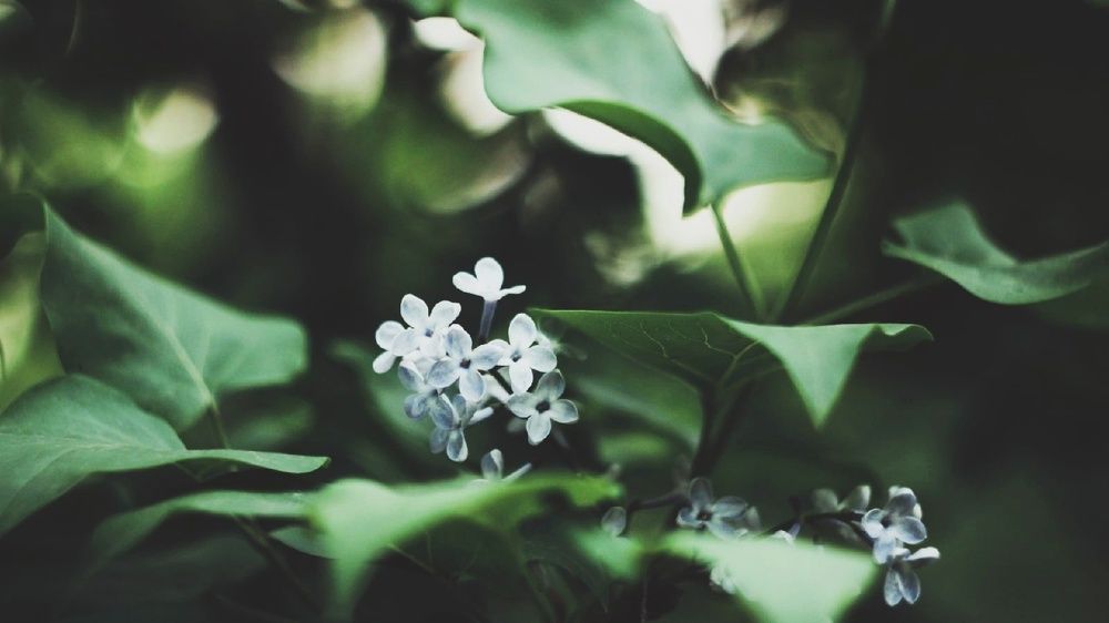 Photograph by Алёна Бондаренко