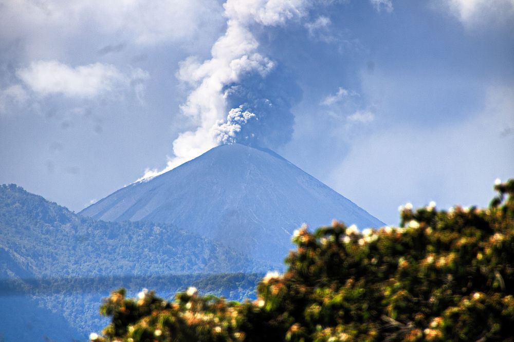 Фотография автора Juan Carlos Castillo