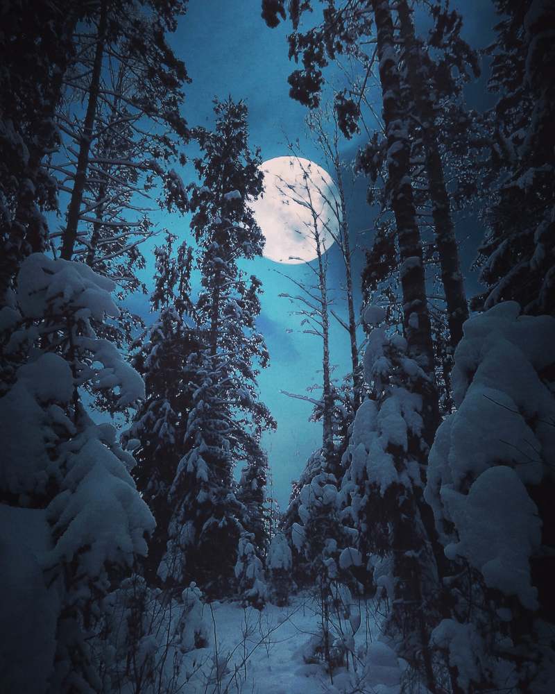 Photograph by Виталий К.