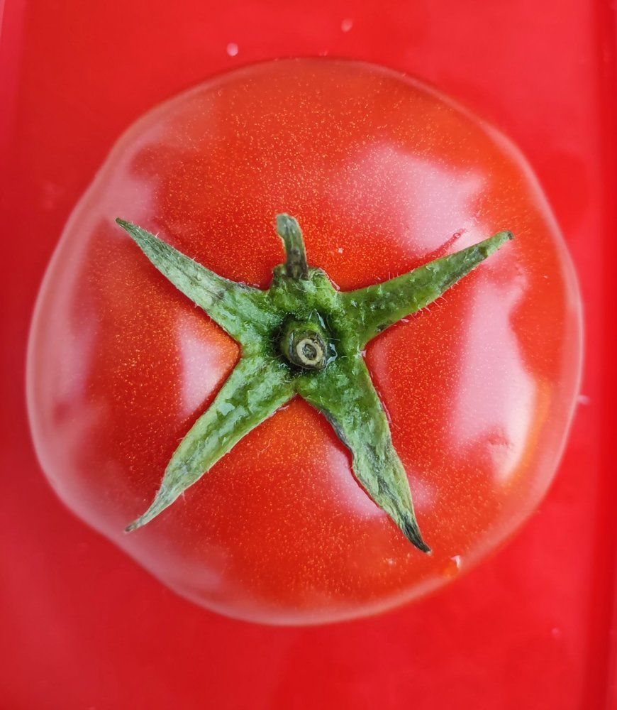 Photograph by Jasminka Nadaškić