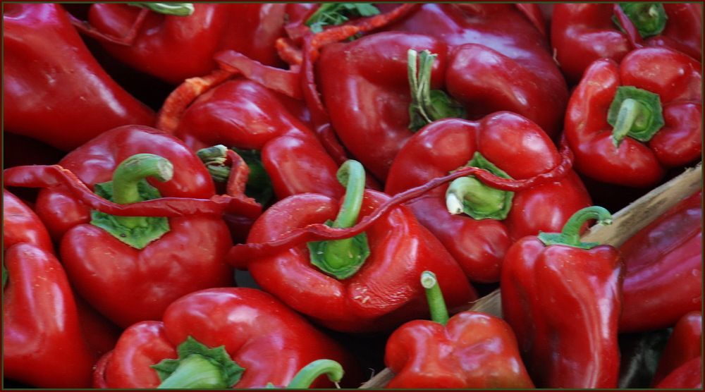 Photograph by Jasminka Nadaškić