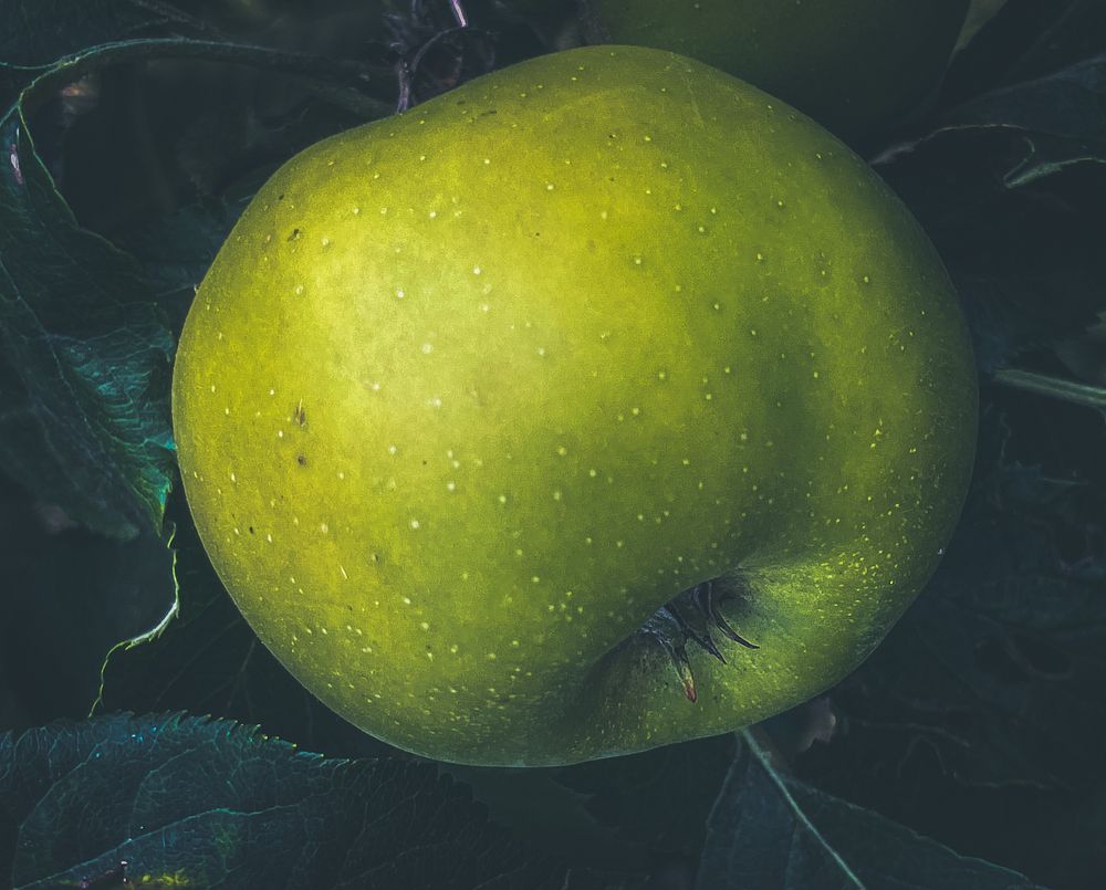 Photograph by Виктория Янушанис