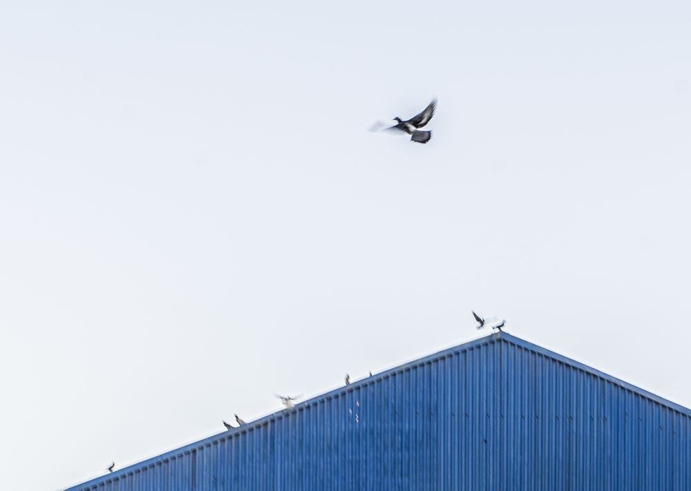 Photograph by Valentina Suleymanova