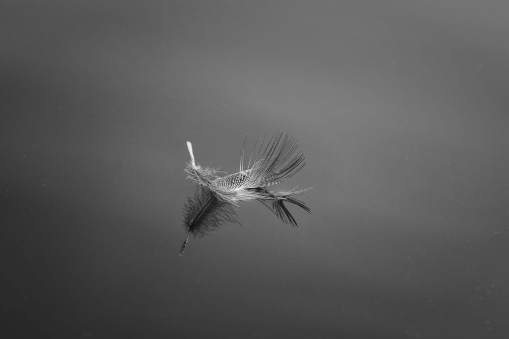 Photograph by Екатерина Рябинина