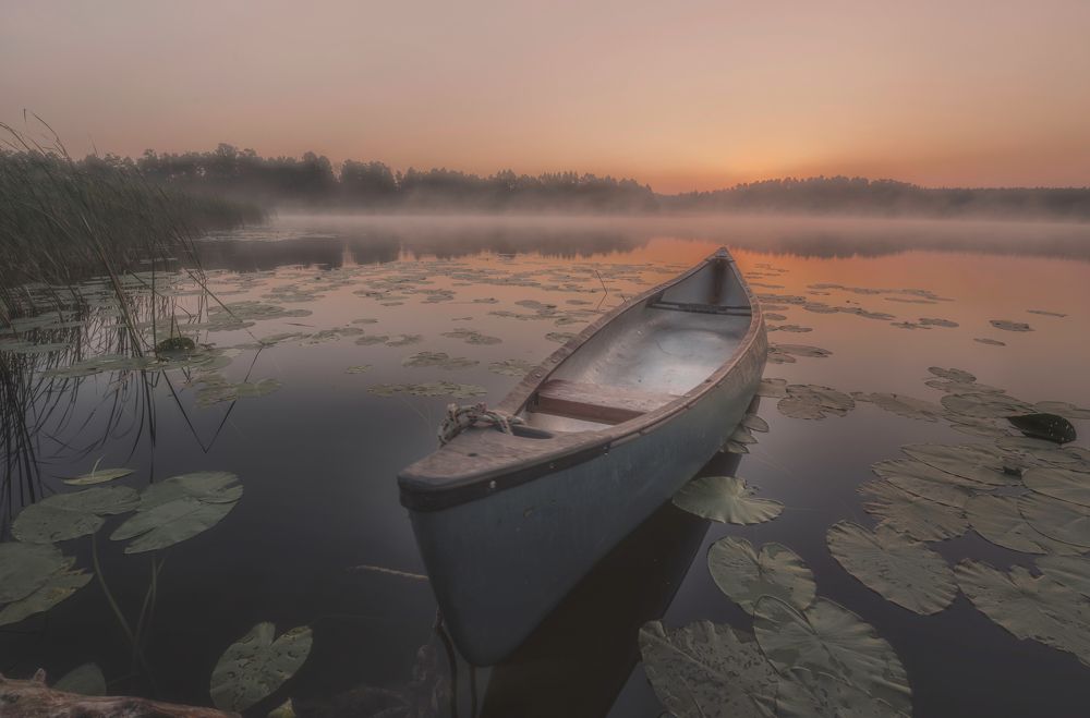 Photograph by Budyta Dariusz