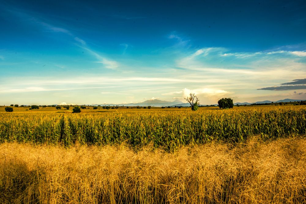 On the road everything have its place