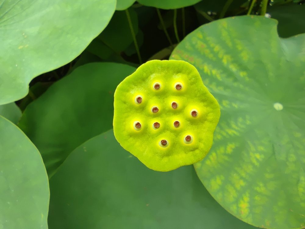 Photograph by VALDEZ JONATHAN