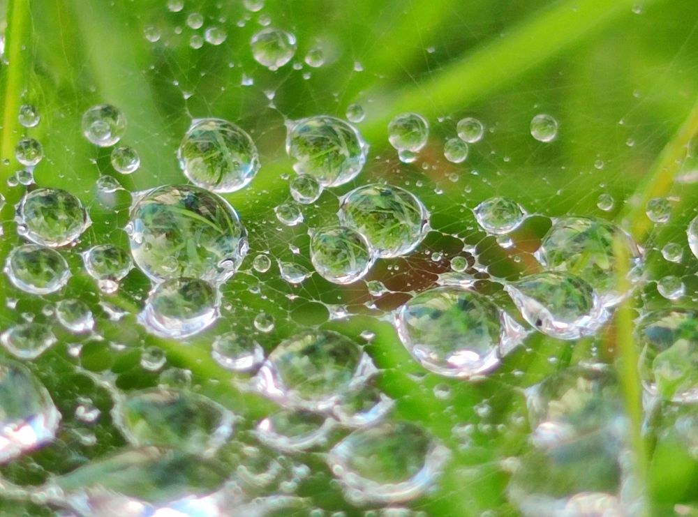 Photograph by VALDEZ JONATHAN