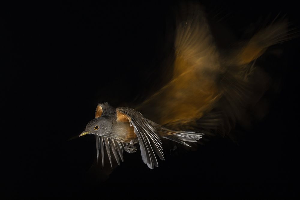 Photograph by Esteban Argerich