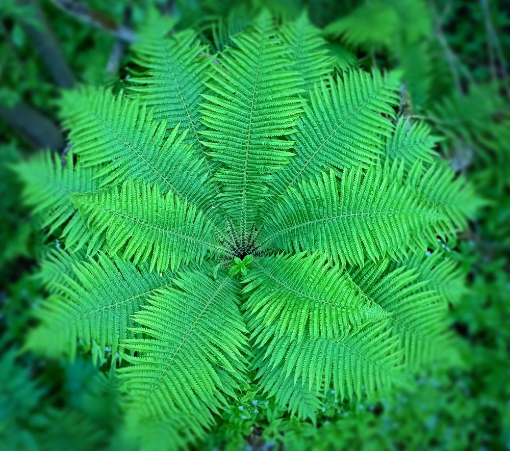 Фотография автора Михаил
