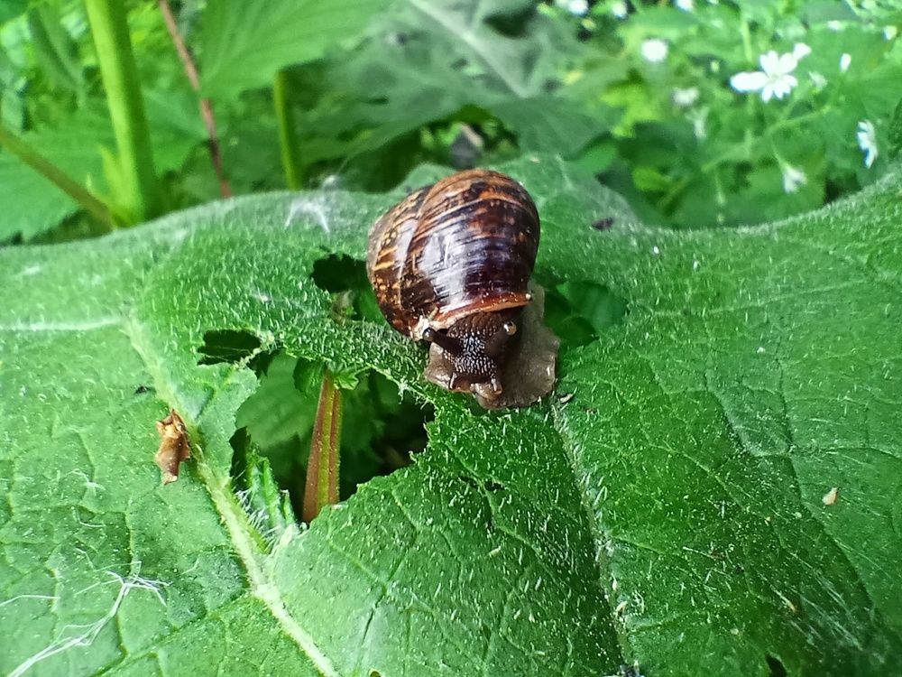 Фотография автора Михаил