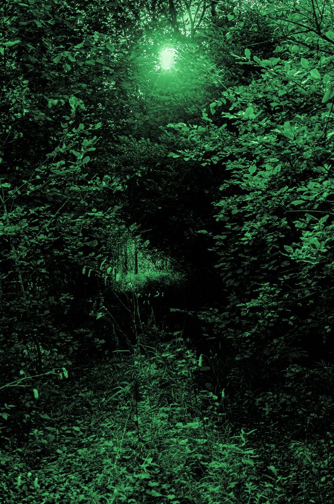 Photograph by Алексей Егоров