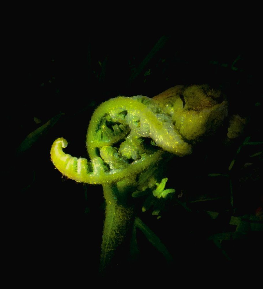 Фотография автора Michael Gault