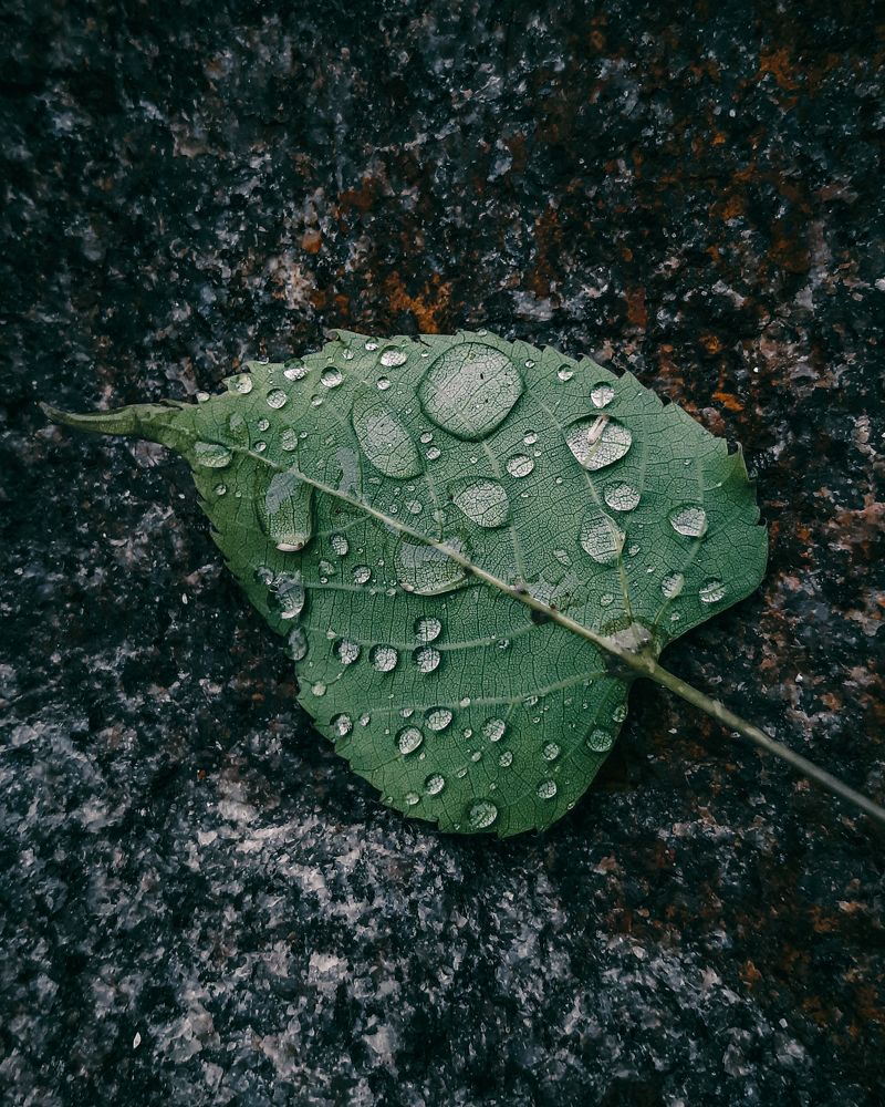 Photograph by Mobigraf