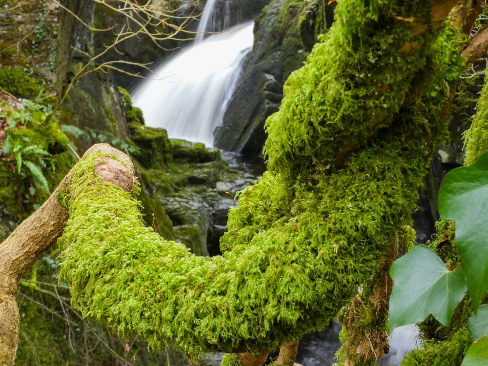 Фотография автора Michael Gault