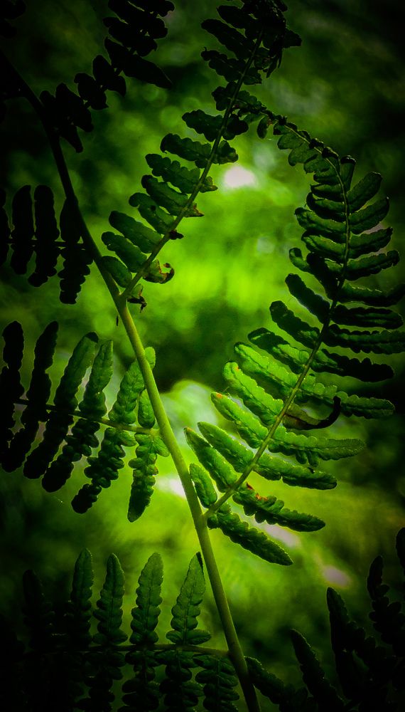 Фотография автора Michael Gault