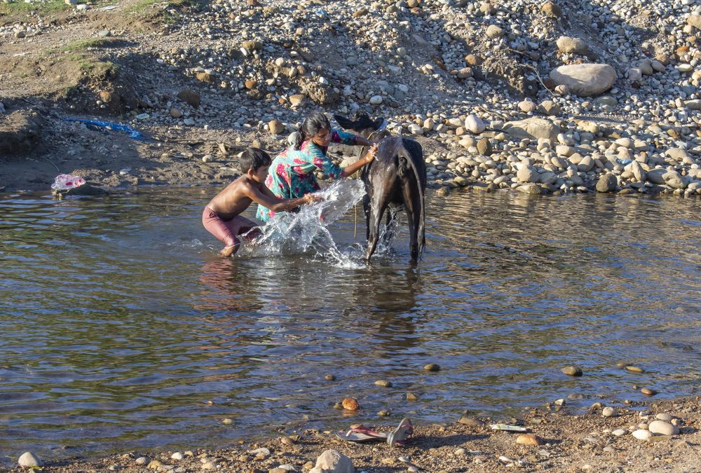 Photograph by Emon Reza