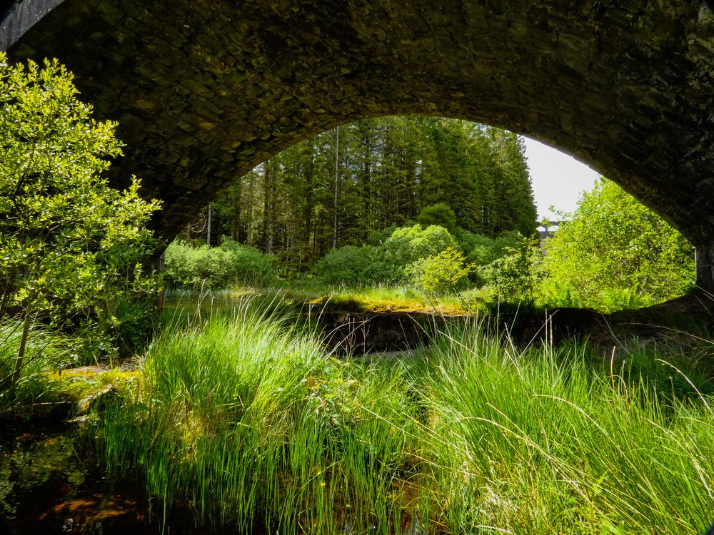 Фотография автора Michael Gault