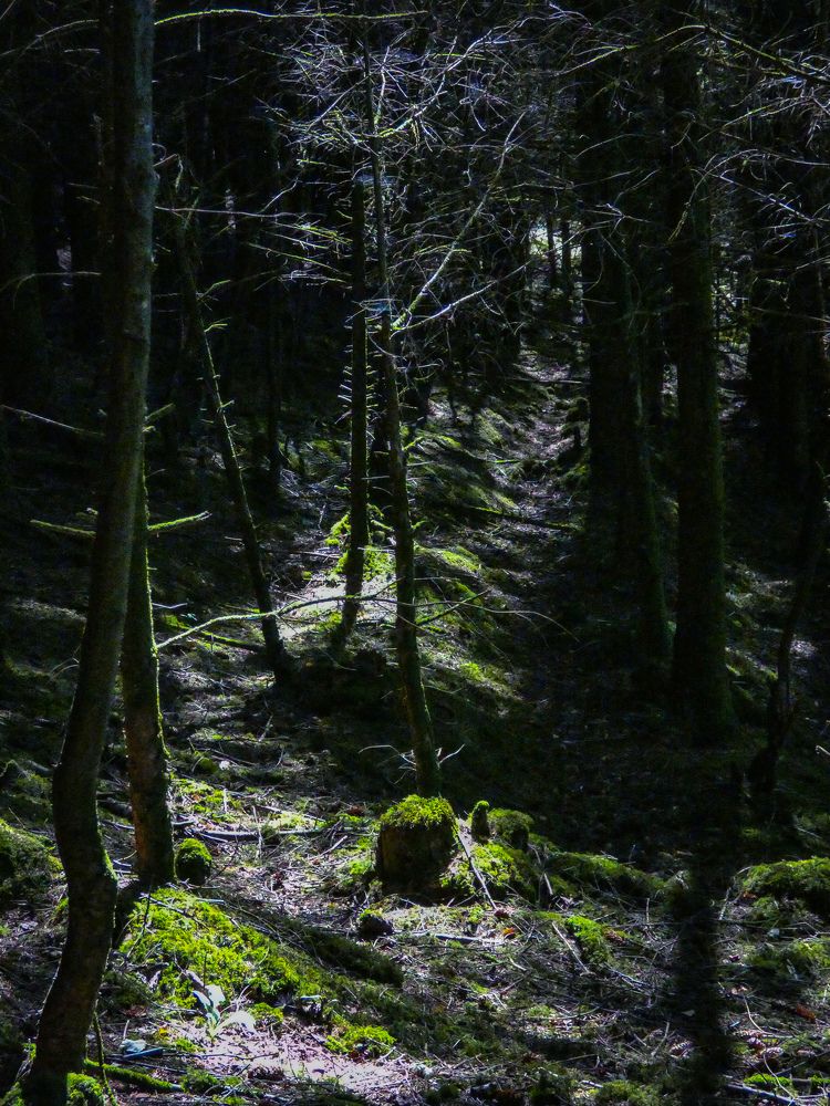 Фотография автора Michael Gault