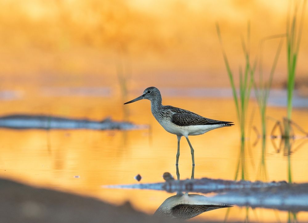 Photograph by Павел Краснослободцев