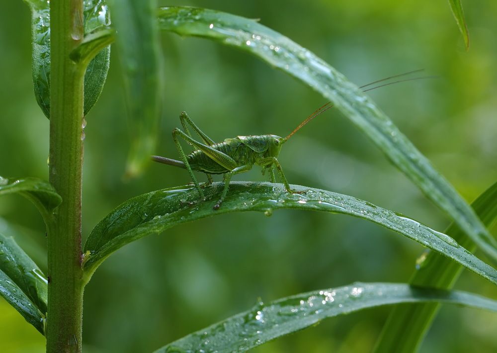 Photograph by Анатолий Васильев