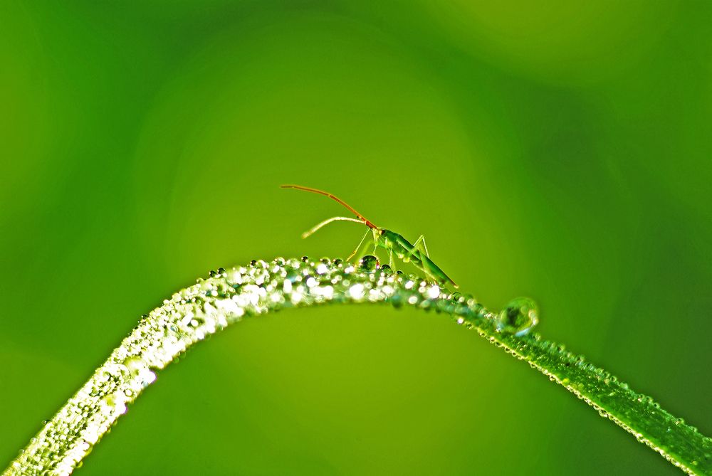 Фотография автора Антип