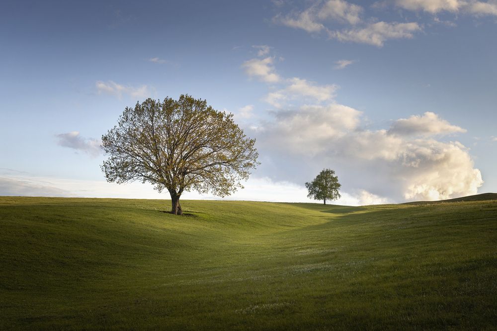 Photograph by Татьяна Бирюкова