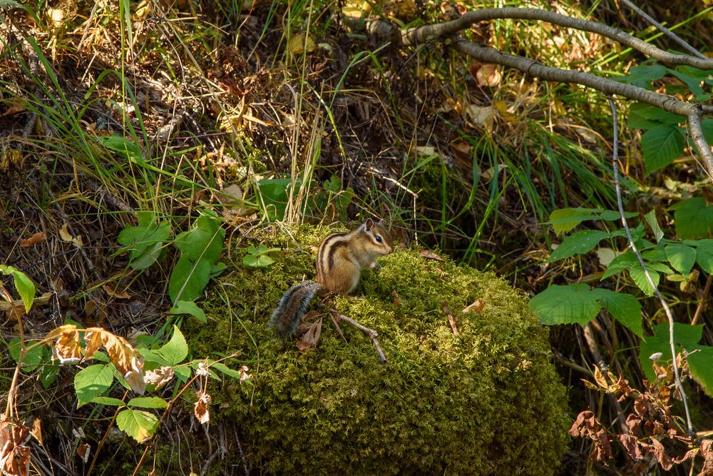 Photograph by Артём Самусенко