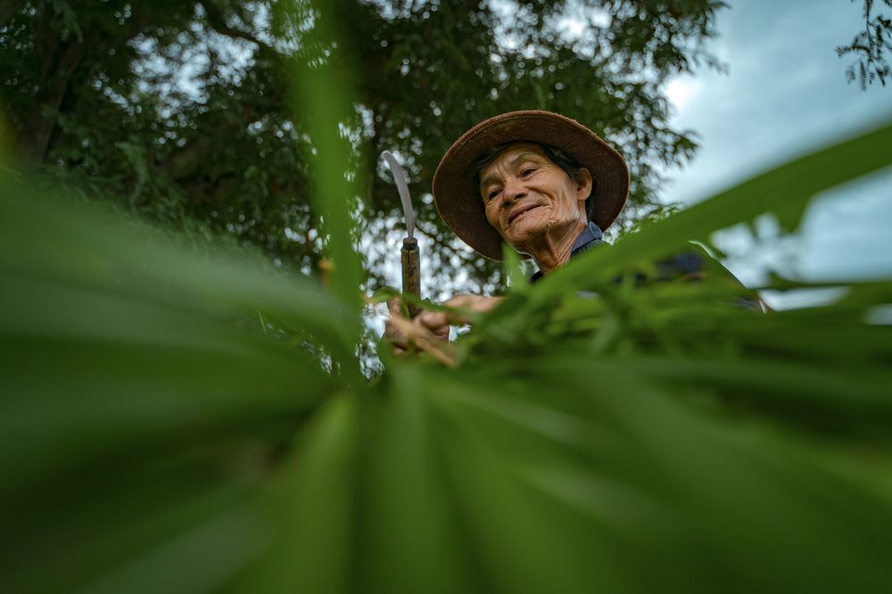 Фотография автора Dang Le