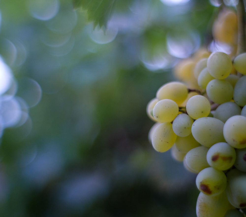 Photograph by Константин Бокарев