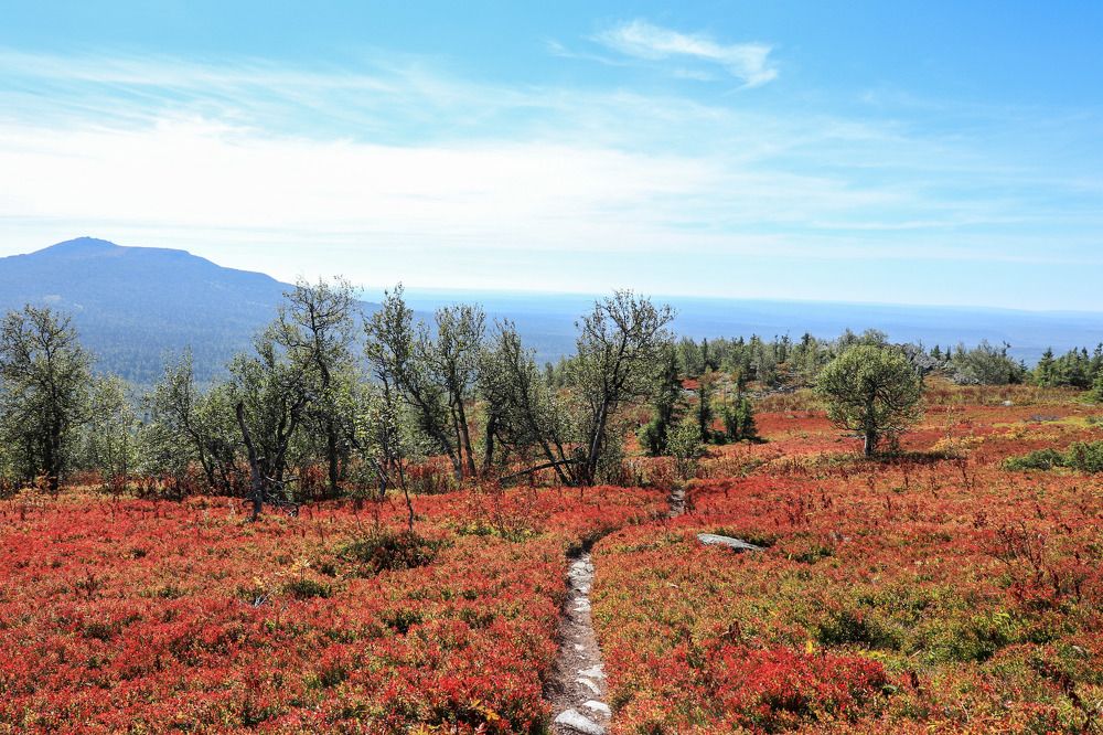 Photograph by Лилия Васильева