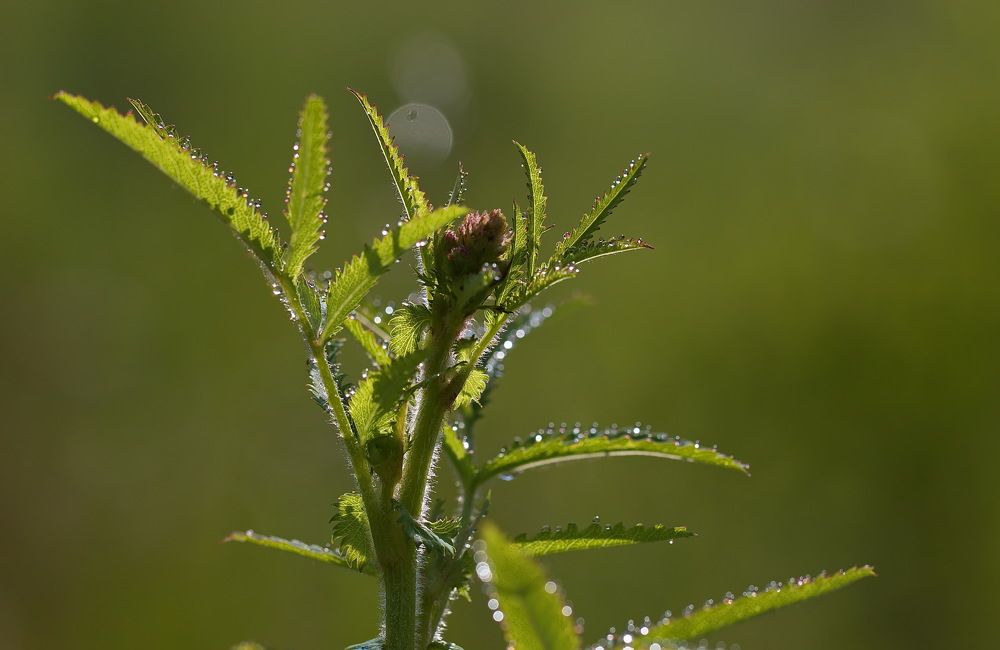 Photograph by Анатолий Васильев