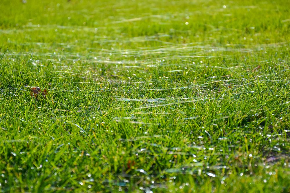 Photograph by Галя Кочубей