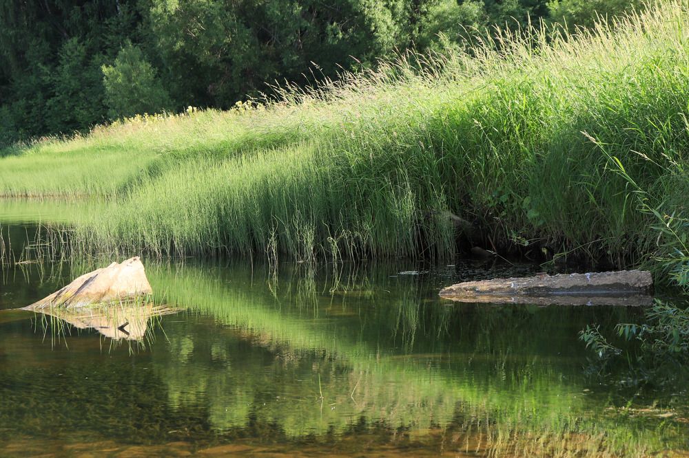 Photograph by Лилия Васильева