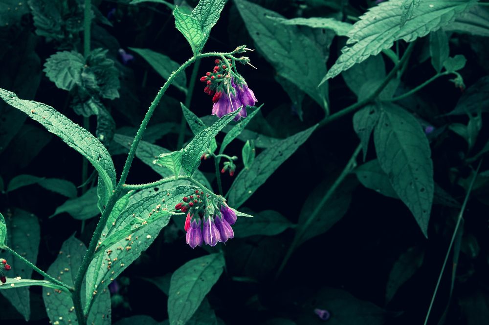 Фотография автора Татьяна Нарайкина