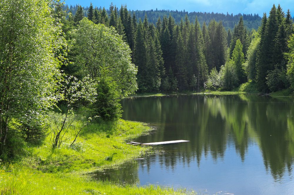 Photograph by Лилия Васильева