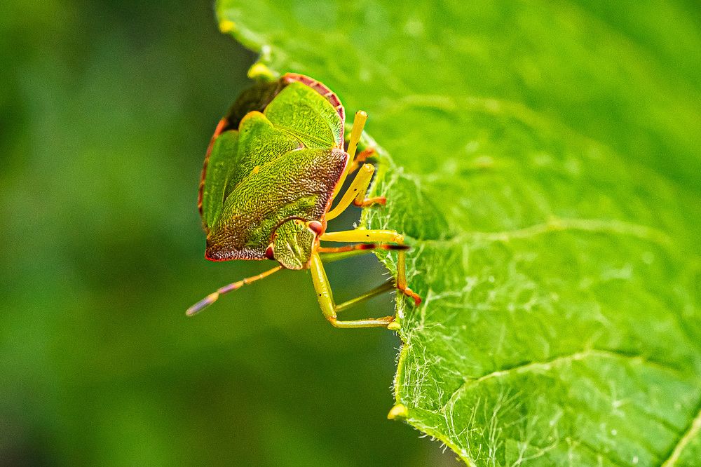 Фотография автора Николай Бологов