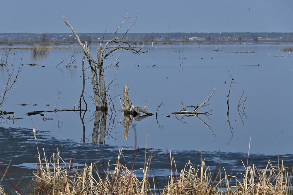 Фотография автора IRINA FILIPPOVA