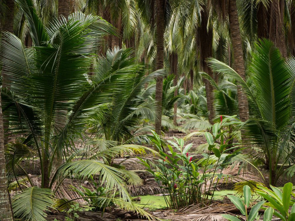 Photograph by Анатолий Румачик