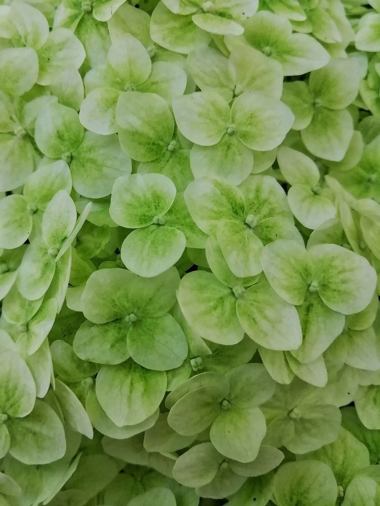 Photograph by Екатерина Чижевская