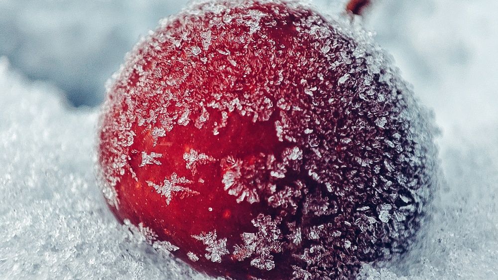 frozen cherry