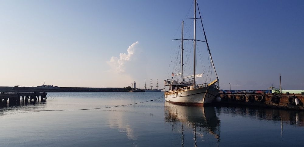 Фотография автора Ольга Мусина