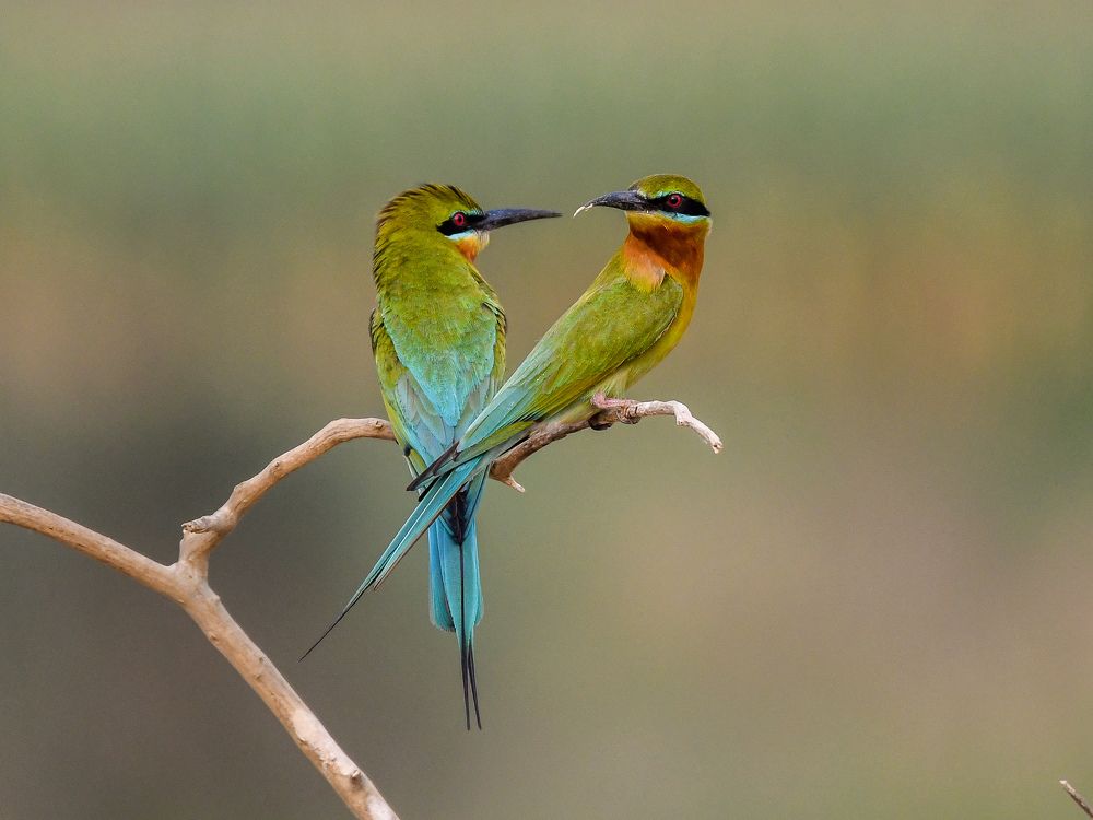 Photograph by Pratik Chaudhury