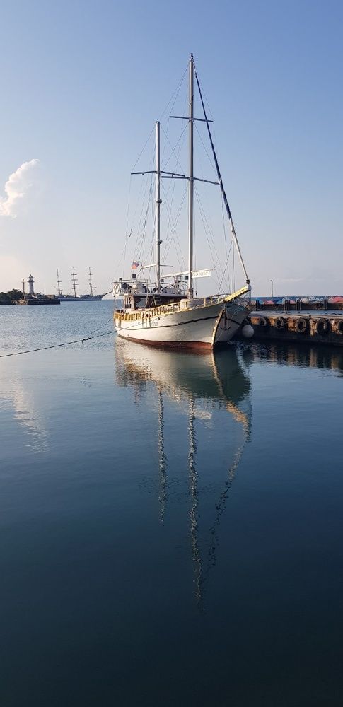 Фотография автора Ольга Мусина