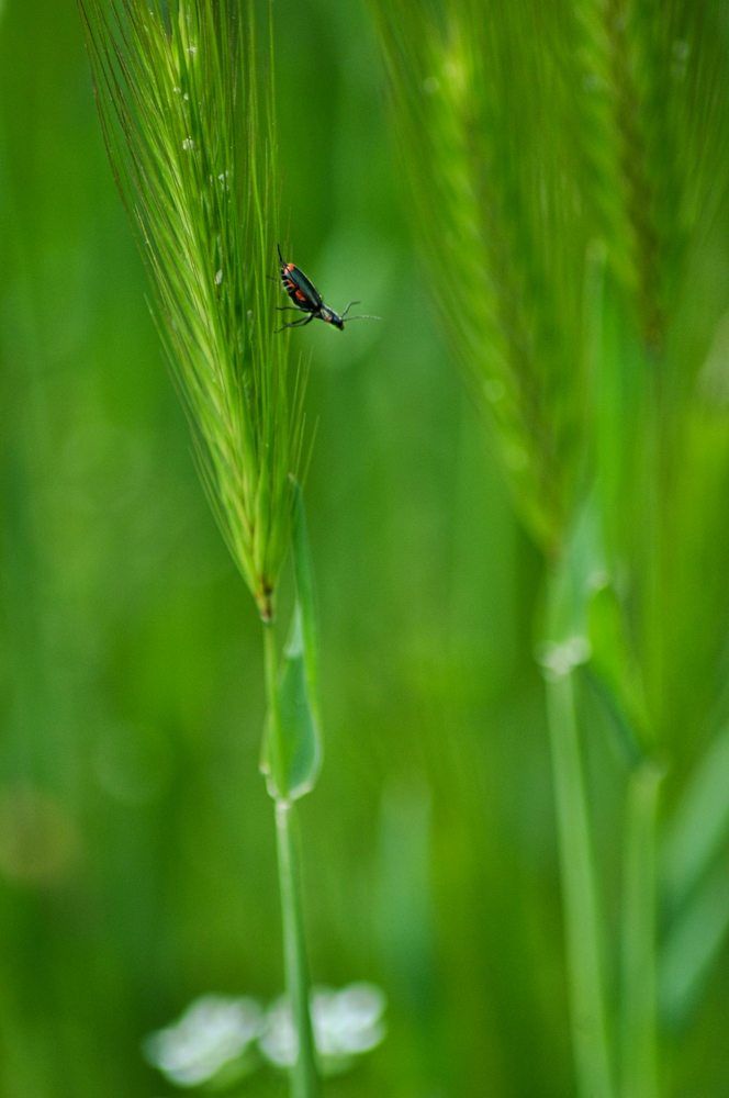 Photograph by Stoyan Baev