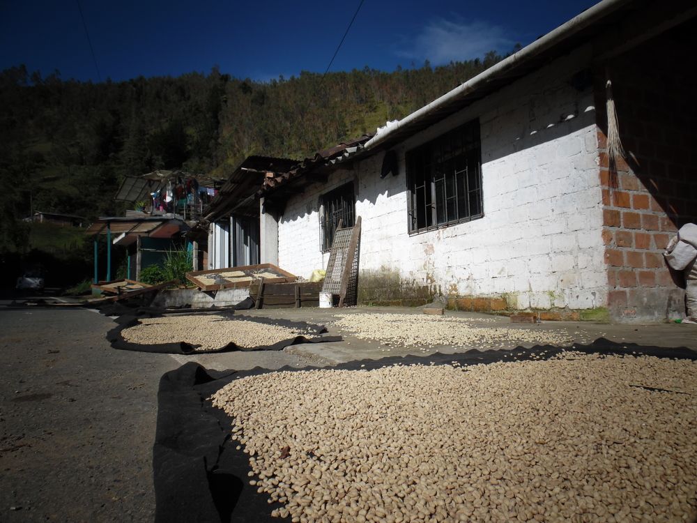 Café em Nariño, Colombia