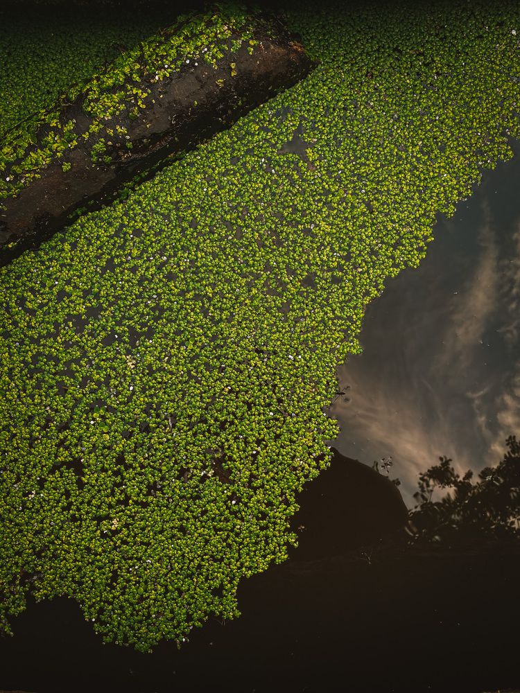 Photograph by Мария Королькова