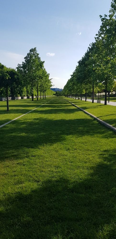 Фотография автора Ольга Мусина